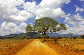 destination